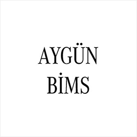 Aygün Bims